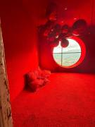 ALQUILER DE APARTAMENTO AMUEBLADO, SAN JOSÉ, SABANA, CONDOMINIO SECRT SABANA - 9706961