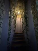 ALQUILER DE APARTAMENTO AMUEBLADO, SAN JOSÉ, SABANA, CONDOMINIO SECRT SABANA - 9706961