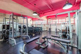 ALQUILER DE APARTAMENTO AMUEBLADO, SAN JOSÉ, SABANA, CONDOMINIO SECRT SABANA - 9706961