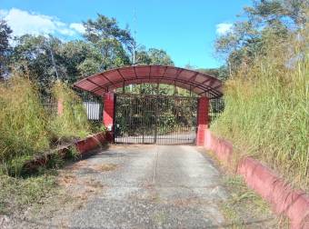 VENTA DE TERRENO EN OROTINA DE UNA HECTÁREA