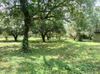 VENTA DE TERRENO EN OROTINA DE UNA HECTÁREA