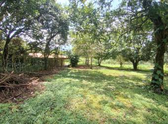 VENTA DE TERRENO EN OROTINA DE UNA HECTÁREA