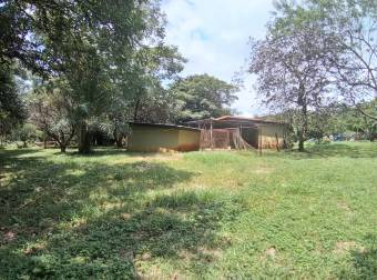 VENTA DE TERRENO EN OROTINA DE UNA HECTÁREA