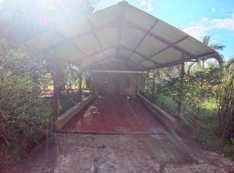 VENTA DE TERRENO EN OROTINA DE UNA HECTÁREA