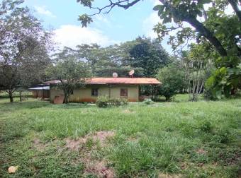 VENTA DE TERRENO EN OROTINA DE UNA HECTÁREA