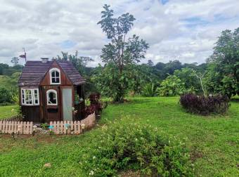 HEREDIA SARAPIQUI VENDO 1 HECTAREA CON CASA