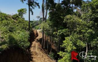 INVERSIÓN EXCEPCIONAL TERRENO EN LAS MONTAÑAS DEL PACÍFICO Playa Hermosa, Jacó 