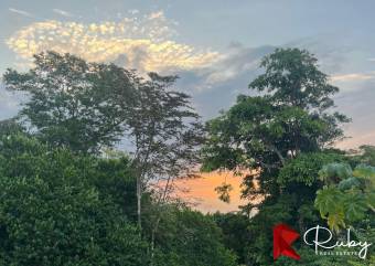 INVERSIÓN EXCEPCIONAL TERRENO EN LAS MONTAÑAS DEL PACÍFICO Playa Hermosa, Jacó 