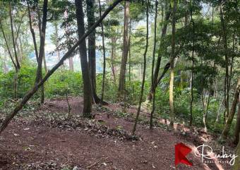 INVERSIÓN EXCEPCIONAL TERRENO EN LAS MONTAÑAS DEL PACÍFICO Playa Hermosa, Jacó 