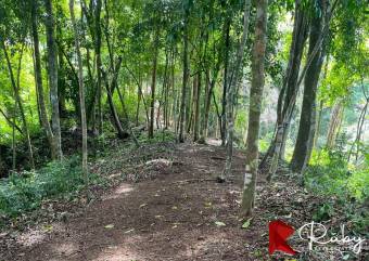 INVERSIÓN EXCEPCIONAL TERRENO EN LAS MONTAÑAS DEL PACÍFICO Playa Hermosa, Jacó 