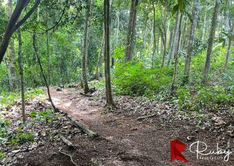 INVERSIÓN EXCEPCIONAL TERRENO EN LAS MONTAÑAS DEL PACÍFICO Playa Hermosa, Jacó 