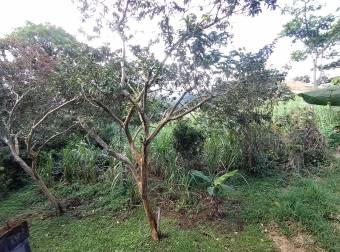 AMPLIA CASA EN VENTA, CONCEPCIÓN, SAN RAMÓN, ALAJUELA  