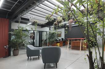 ALQUILER DE OFICINA, SAN JOSÉ, PAVAS, ZONA INDUSTRIAL - 9711515