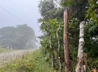 SE VENDE terreno con potrero y montaña en Dulce Nombre de Coronado.