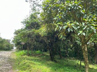 FOR SALE Land with Forest in Dulce Nombre de Coronado.