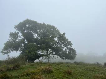 SE VENDE terreno con potrero y montaña en Dulce Nombre de Coronado.