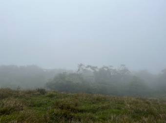 SE VENDE terreno con potrero y montaña en Dulce Nombre de Coronado.
