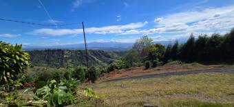 HOUSE FOR SALE WITH 2 APARTMENTS, ALAJUELA, NARANJO, CIRRÍ SUR - 9693526