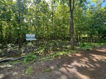 Lots for sale near Avellanas Beach Lots for sale near Avellanas Beach