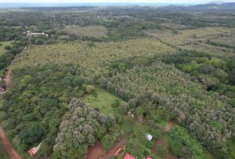 Lots for sale near Avellanas Beach Lots for sale near Avellanas Beach