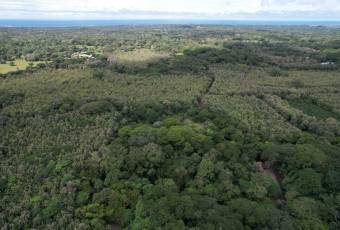 Lots for sale near Avellanas Beach Lots for sale near Avellanas Beach