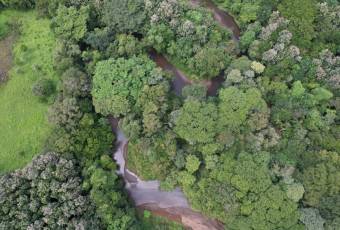 Lots for sale near Avellanas Beach Lots for sale near Avellanas Beach