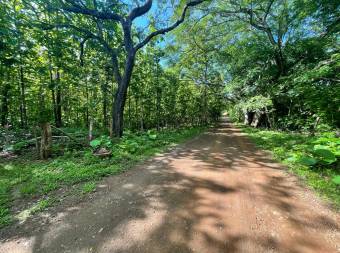 Lots for sale near Avellanas Beach Lots for sale near Avellanas Beach