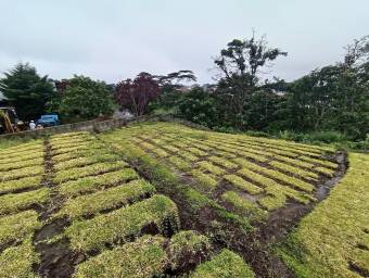 Se vende lote con oportunidad de inversión en San Pablo Heredia 25-868