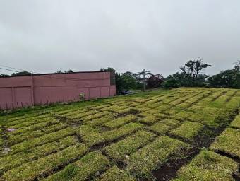 Se vende lote con oportunidad de inversión en San Pablo Heredia 25-868