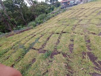 Se vende lote con oportunidad de inversión en San Pablo Heredia 25-868