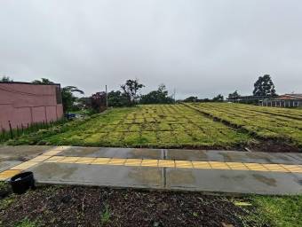Se vende lote con oportunidad de inversión en San Pablo Heredia 25-868