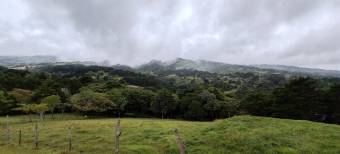 MLS-26-1131 LS VENTA LOTE SAN RAFAEL HEREDIA