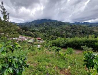 Se vende lote en San Miguel Desamparados 26-875