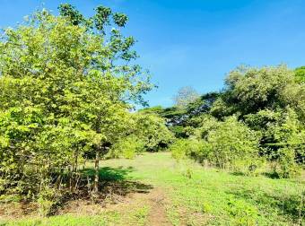 Land For Sale - La Garita Nueva, Guanacaste