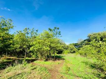 Land For Sale - La Garita Nueva, Guanacaste
