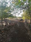 Hermosa vivienda de 140 metros asentada sobre un generoso lote de 2.500 m con ubicación privilegiada