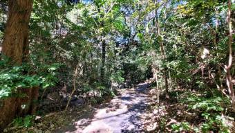 Venta de Apartamento en Santa Ana-Piedades. RAH 26-1231