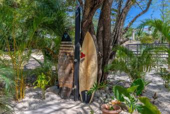 Vive la experiencia tropical casa con terraza y piscina privada