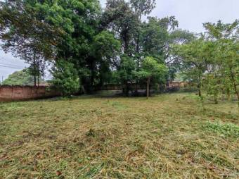 MLS-26-1297 ALQUILER LOTE SAN MATEO ALAJUELA