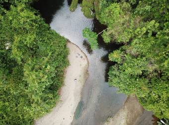 Bahía Drake - 76 Hectáreas donde la Selva Toca el Cielo