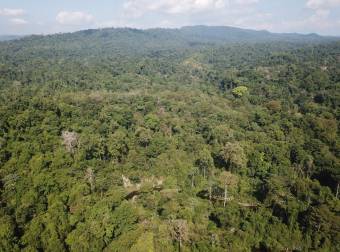 Bahía Drake - 76 Hectáreas donde la Selva Toca el Cielo