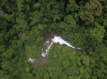 Bahía Drake - 76 Hectáreas donde la Selva Toca el Cielo