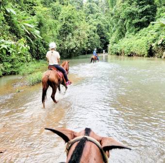 Bahía Drake - 76 Hectáreas donde la Selva Toca el Cielo