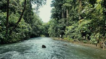 Bahía Drake - 76 Hectáreas donde la Selva Toca el Cielo