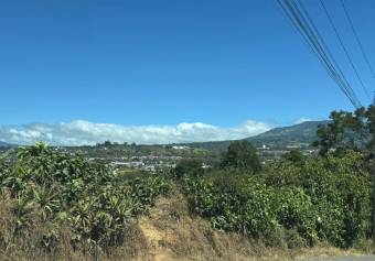 FARM FOR SALE, CARTAGO, LA UNIÓN, RÍO AZUL - 9749305