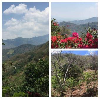 3.1 hectáreas de naturaleza en las montañas de Rio Oro de Santa Ana