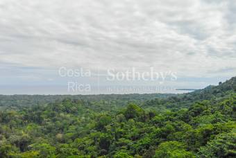 Cahuita Ocean and Jungle View Farm / Development (20ha)