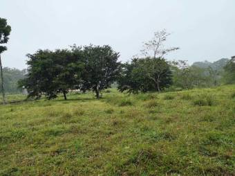 Venta de terreno semi-plano en Guápiles,  CG-21-1048