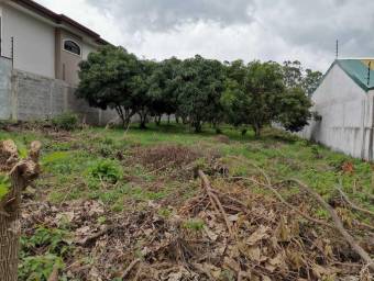 Se vende amplio lote plano en Crucitas de Heredia 22-751