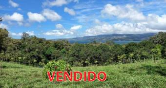 Hermosa Finca Con Vista Lago Arenal